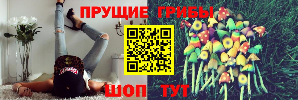 Псилоцибиновые грибы Psilocybe Надым