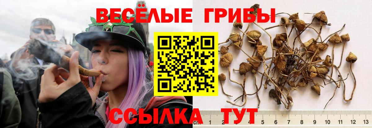 Галлюциногенные грибы Magic Shrooms  Вход с VPN  Надым 